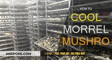 Cooling Morrell Mushrooms: The Ultimate Guide