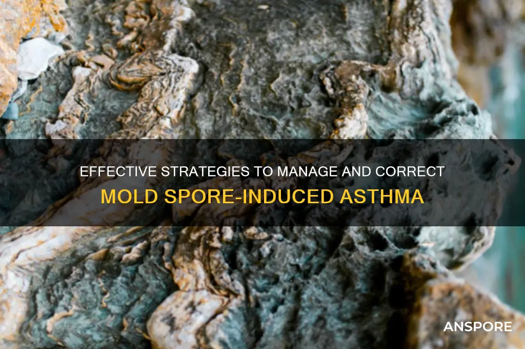 how to correct mold spore asthma