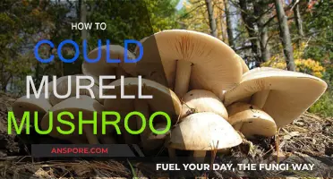 Cultivating Murell Mushrooms: A Step-by-Step Guide