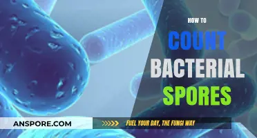 Mastering Bacterial Spore Counting: Techniques, Tools, and Best Practices