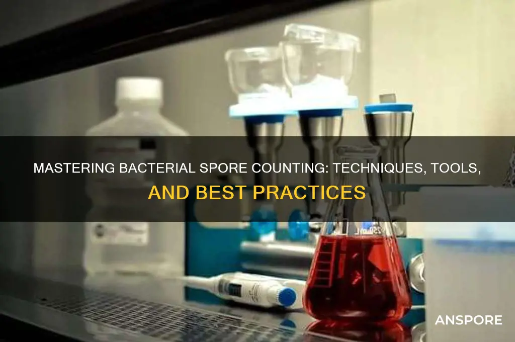 how to count bacterial spores
