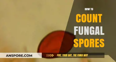 Mastering Fungal Spore Counting: Techniques and Tools for Accurate Results