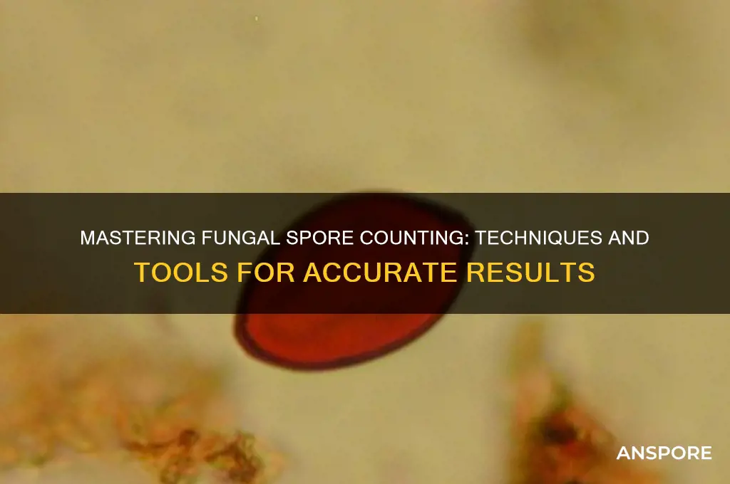how to count fungal spores