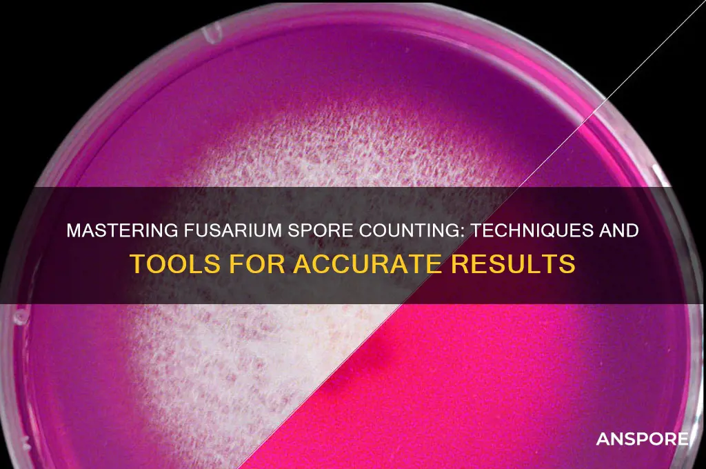 how to count fusarium spor