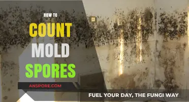 Mastering Mold Spore Counting: Essential Techniques for Accurate Detection