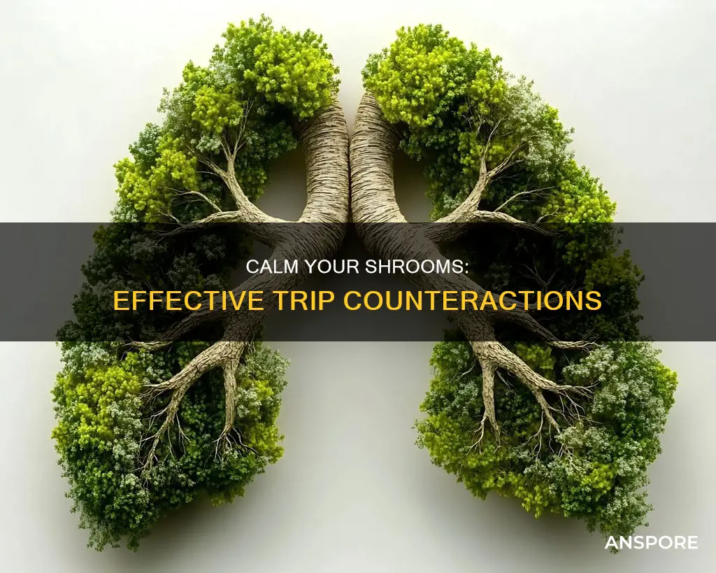 how to counteract mushroom trip