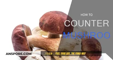 Neutralizing Mushrooms: Natural Remedies for Your Garden