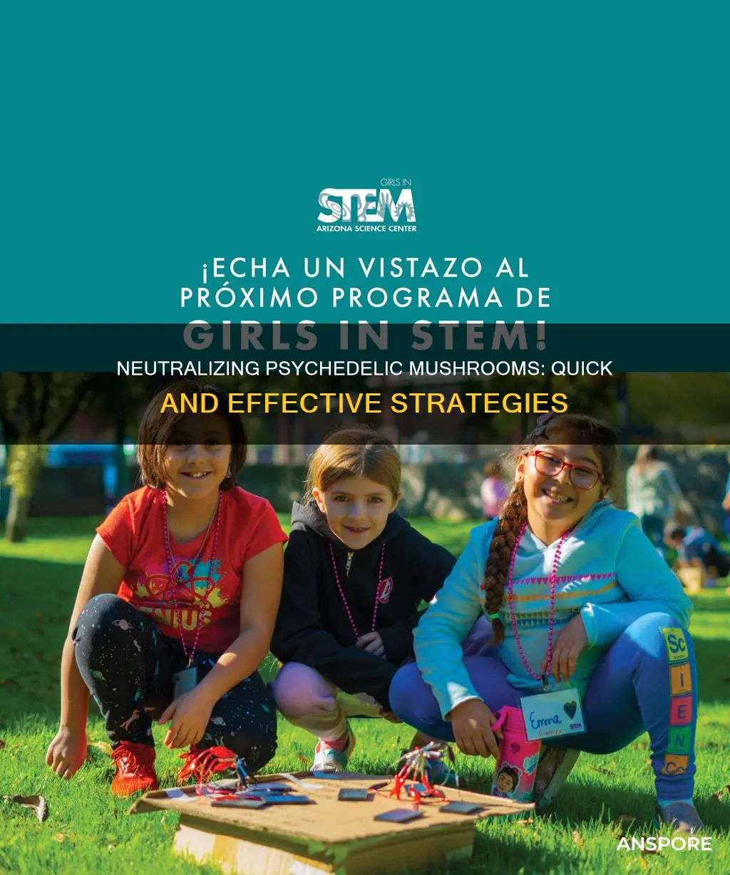 how to counteract psychedelic mushrooms