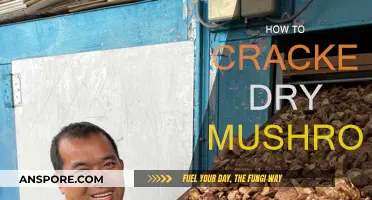 Rehydrating Dry Mushrooms: A Quick Guide