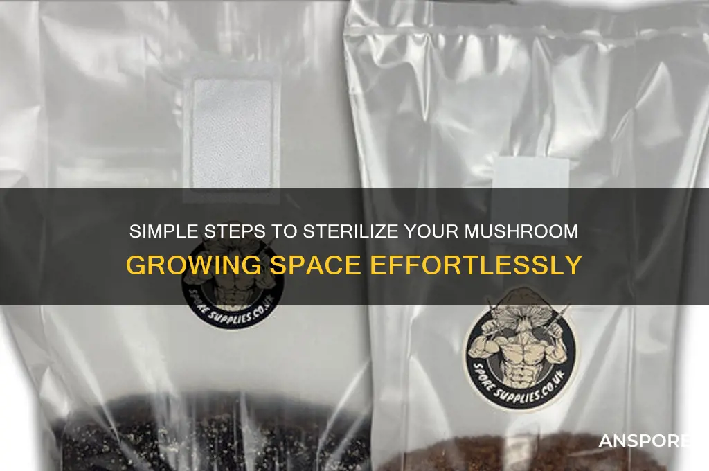 how to create a easy sterile environment for mushroom cultivation