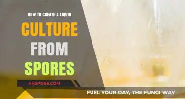 Mastering Liquid Culture: A Step-by-Step Guide from Spores