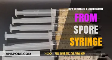 Mastering Liquid Culture Creation from Spore Syringes: A Step-by-Step Guide