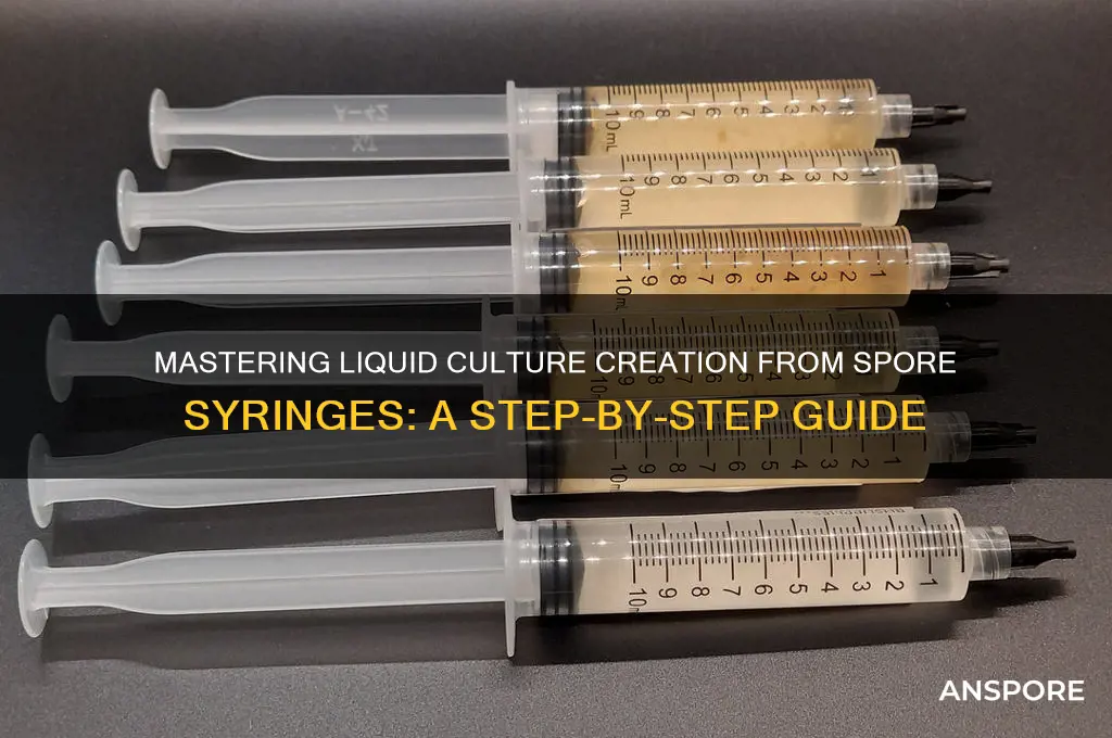 how to create a liquid culure from spore syringe