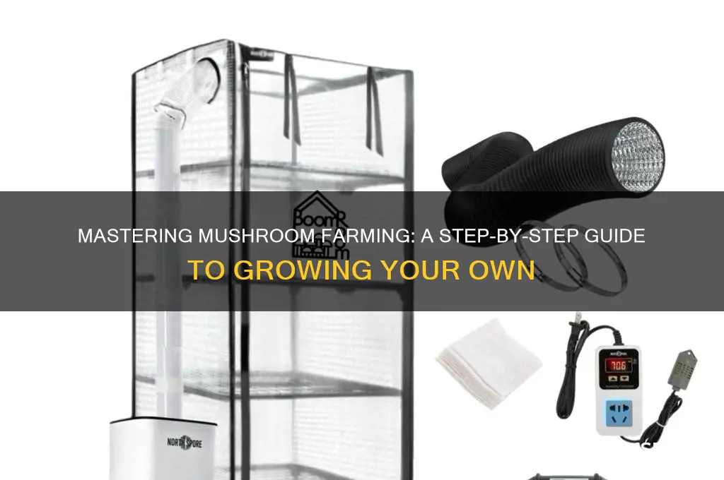 how to create a mushroom farm
