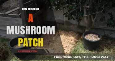 Cultivating Your Own Mushroom Patch: A Step-by-Step Guide to Success