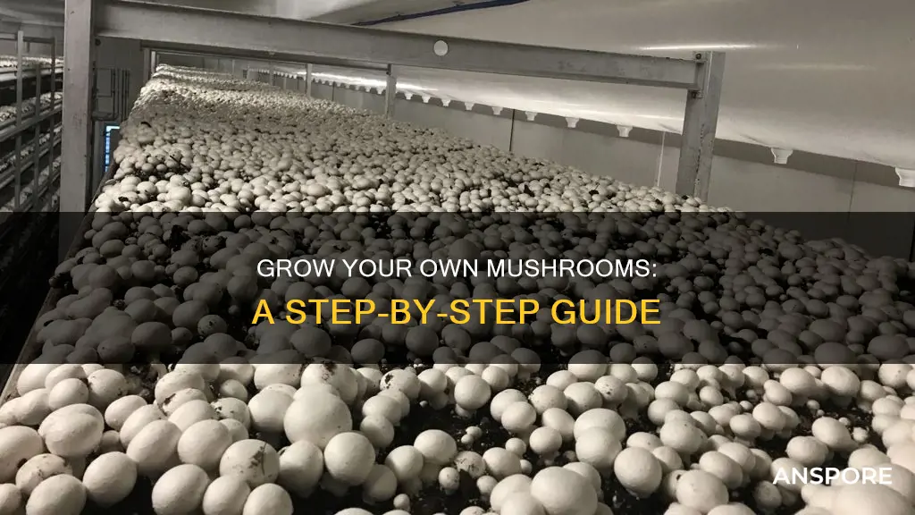how to create a mushroom