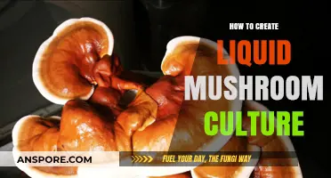 Mastering Liquid Mushroom Culture: A Step-by-Step Guide to Success