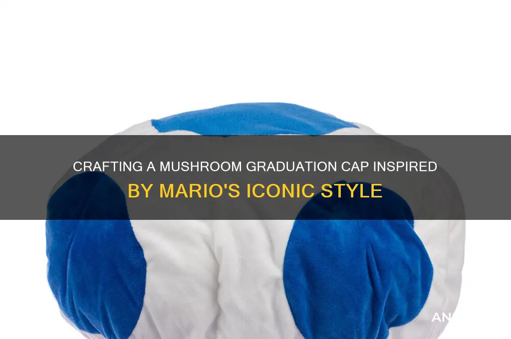how to create mushroom graduation cap mario