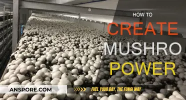 Unlocking Mushroom Power: A Guide to Unlocking Their Potential