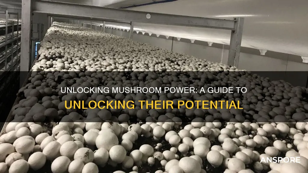 how to create mushroom power