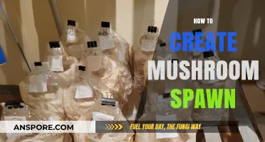 Creating Mushroom Spawn: A Step-by-Step Guide