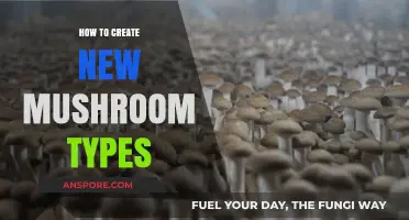 Innovative Techniques for Cultivating Unique Mushroom Varieties at Home