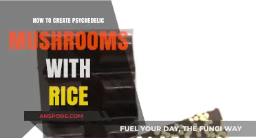 Crafting Psychedelic Mushrooms: A Step-by-Step Rice Substrate Guide