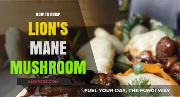 Crispy Lion's Mane Mushroom: Perfect Cooking Techniques for a Crunchy Delight