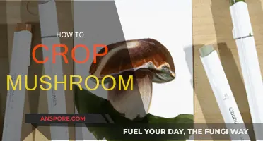 The Ultimate Guide to Cropping Mushrooms