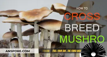 Breeding Mushrooms: A Guide to Cross-Fungal Hybridization