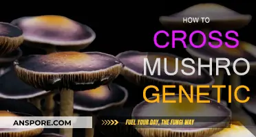 Unlocking Mushroom Secrets: Crossing Genetics