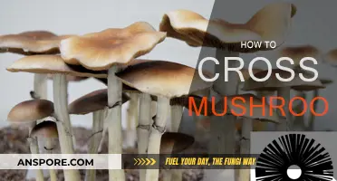 The Ultimate Guide to Crossing Mushrooms