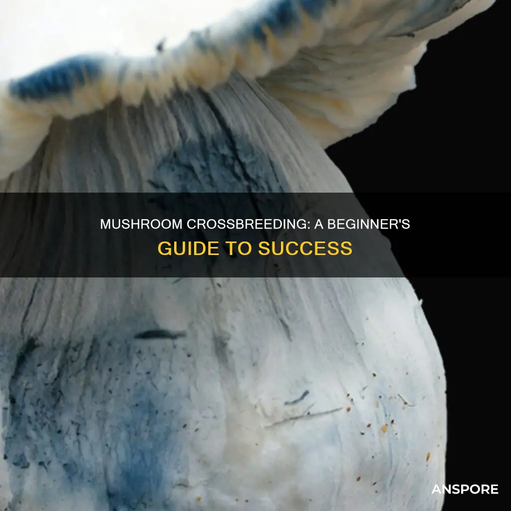 how to crossbreed mushrooms