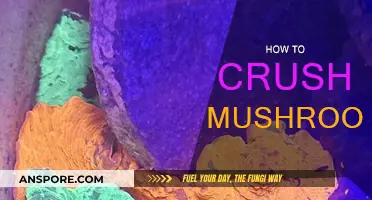 The Ultimate Guide to Crushing Mushrooms