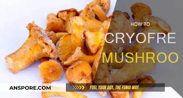 Freezing Fungi: Cryofreeze Your Mushrooms at Home