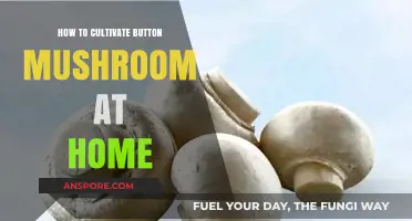 Cultivating Button Mushrooms at Home: A Beginner's Step-by-Step Guide