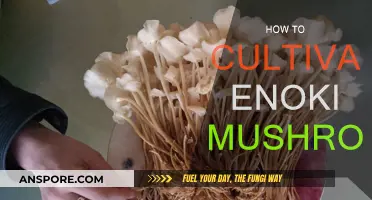 Grow Enoki Mushrooms: A Step-by-Step Guide for Beginners