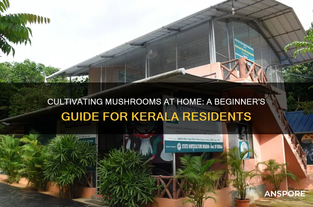 how to cultivate mushroom at home in kerala