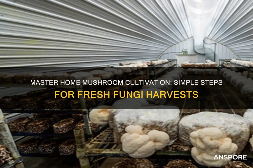 how to cultivate mushroom at home