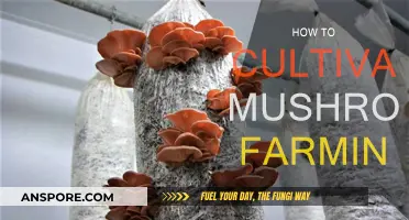 Mushroom Farming: A Step-by-Step Guide to Cultivation