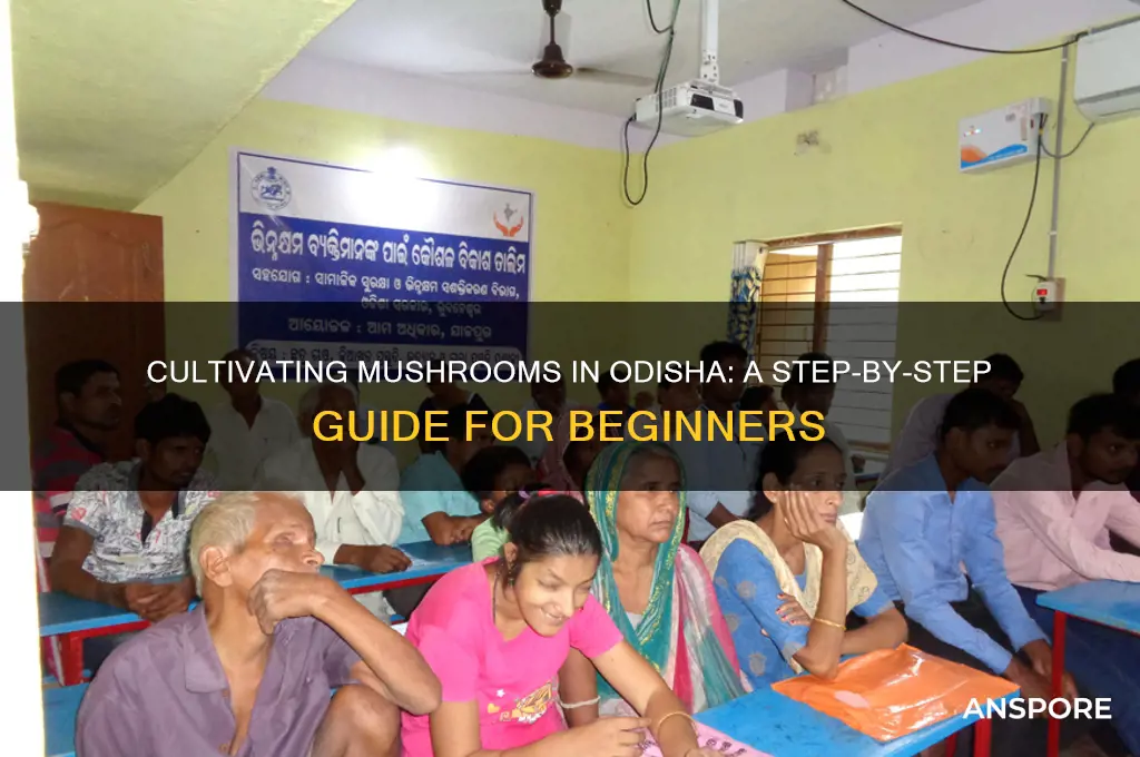 how to cultivate mushroom in odisha