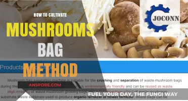 Mastering Mushroom Cultivation: Simple Bag Method for Beginners