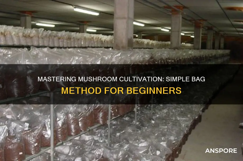 how to cultivate mushrooms bag method