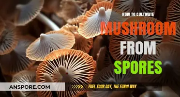 Master Mushroom Cultivation: Growing Gourmet Fungi from Spores at Home