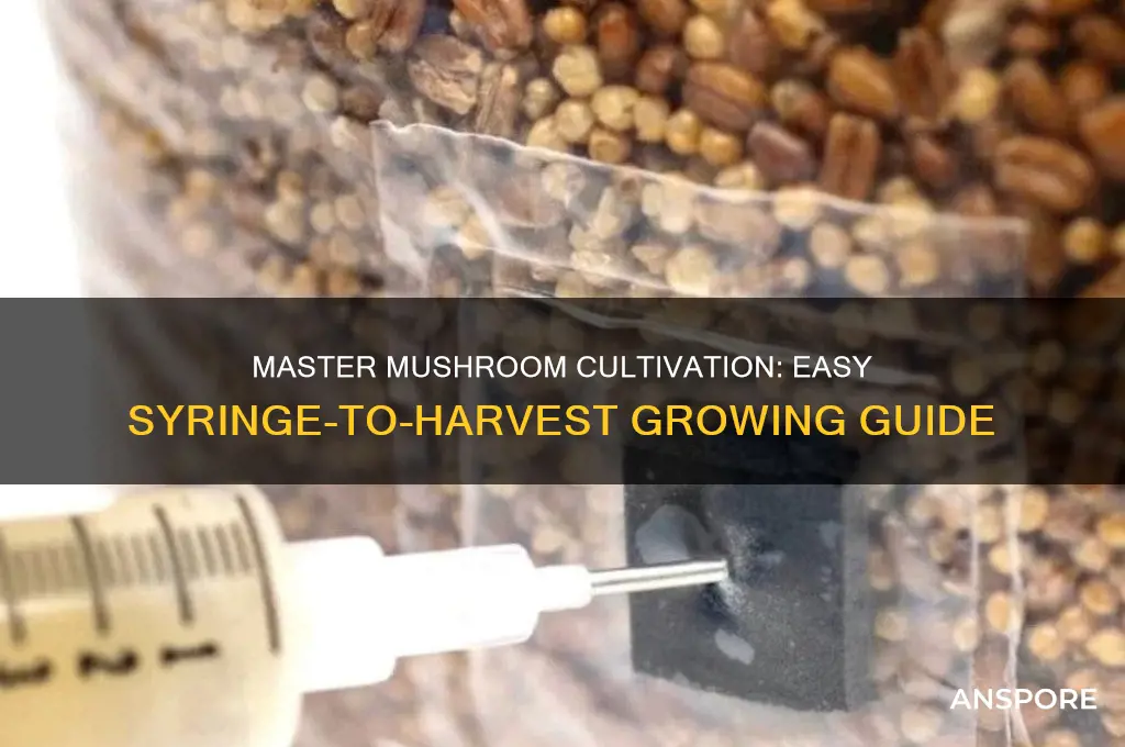 how to cultivate mushrooms from syringe
