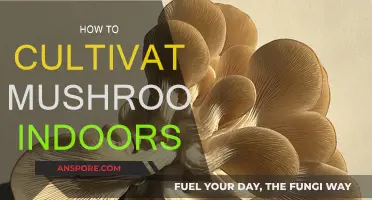 Grow Mushrooms Indoors: A Step-by-Step Guide