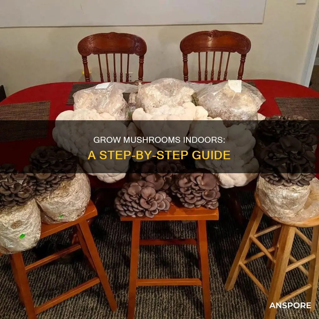 how to cultivate mushrooms indoors