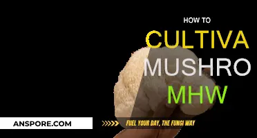 Cultivating Mushrooms: A Hunter's Guide to MHW