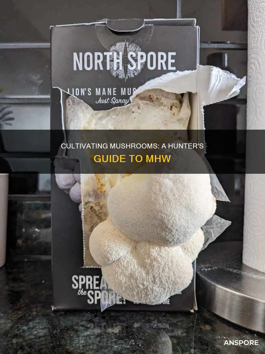 how to cultivate mushrooms mhw