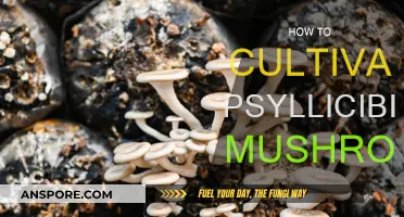 Grow Your Own Magic Mushrooms: A Step-by-Step Guide
